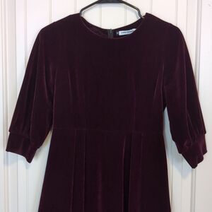 Zara Women's Velvet Dress in Deep Burgundy